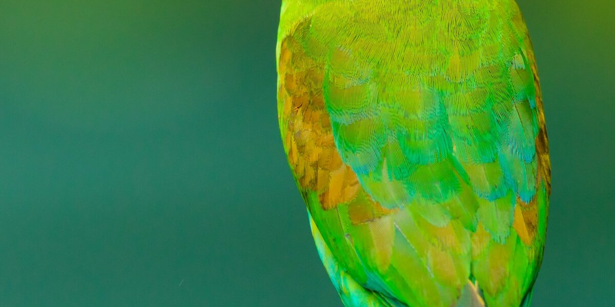 Cyber Warfare: The Invisible Front in Modern Military Operations